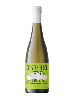 CLUSTER FLOCK RUEDA