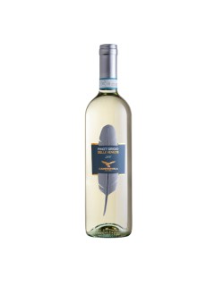 CAMPAGNOLA Pinot Grigio DOC delle Venezie