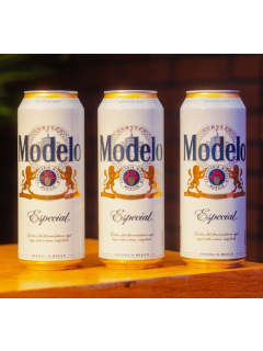 MODELO SGL CAN