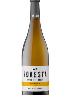 FORESTA BOSC CALAU
